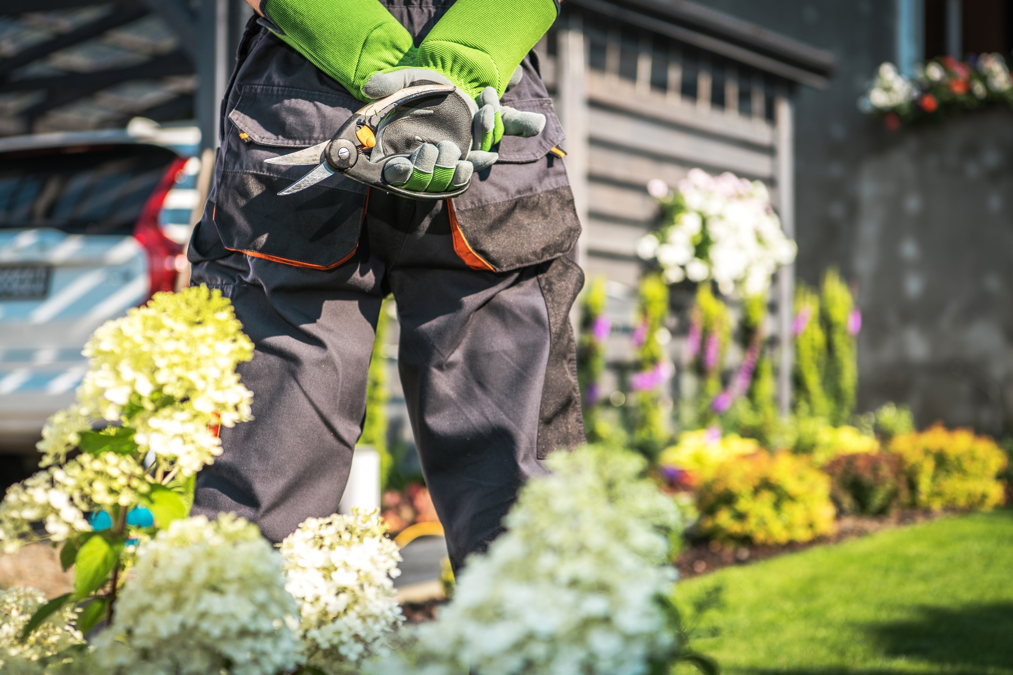 Backyard Garden Work